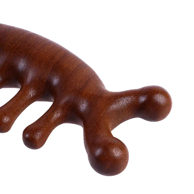 Peigne de Massage en Bois – Multifonction pour le Soin du Cuir Chevelu et des Méridiens de la Tête, Gua Sha Visage/Yeux/Épaules/Nuque, Dents Larges Antistatiques