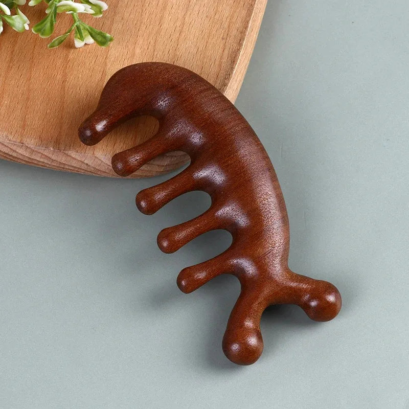 Peigne de Massage en Bois – Multifonction pour le Soin du Cuir Chevelu et des Méridiens de la Tête, Gua Sha Visage/Yeux/Épaules/Nuque, Dents Larges Antistatiques
