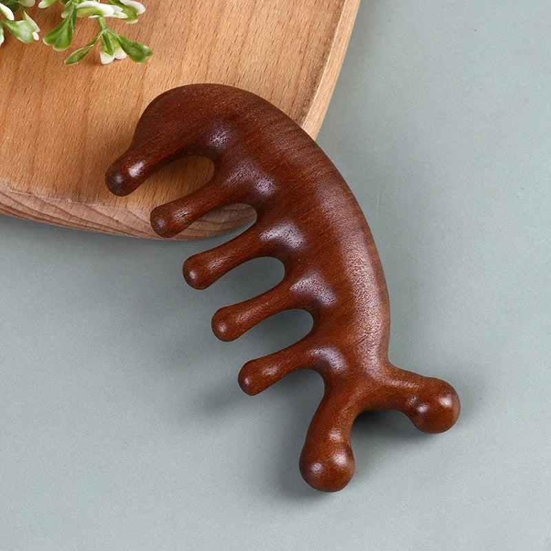 Peigne de Massage en Bois – Multifonction pour le Soin du Cuir Chevelu et des Méridiens de la Tête, Gua Sha Visage/Yeux/Épaules/Nuque, Dents Larges Antistatiques